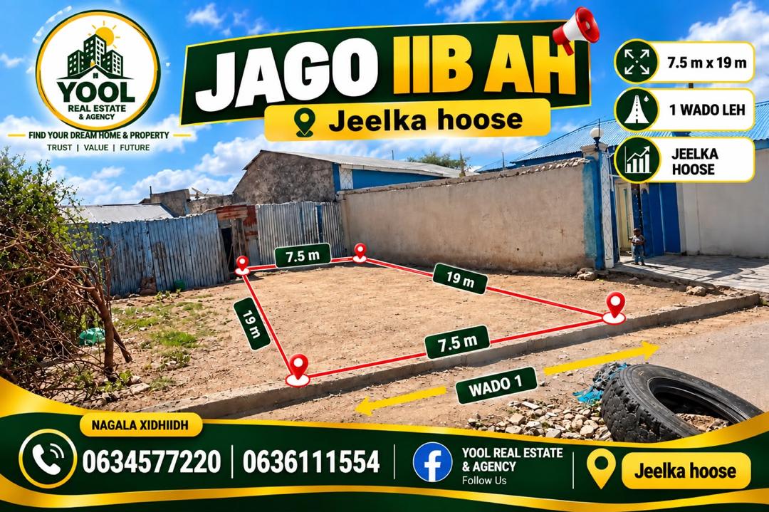 JAGO IIB AH 01